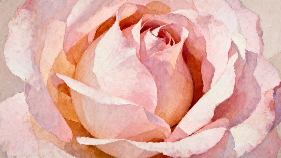 Vaginizmus, izomgörcs