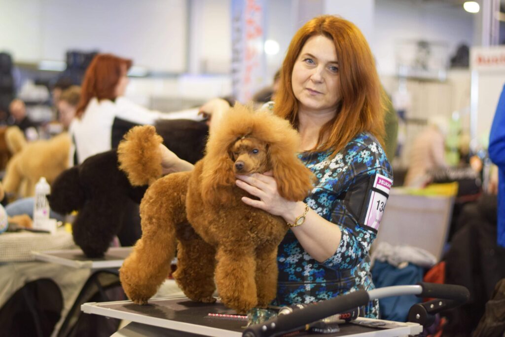 Rouge Impair kennel uszkárok